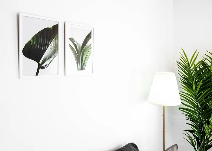 Toboso Plaza 네르하