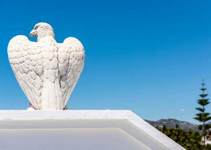 Toboso Plaza 네르하